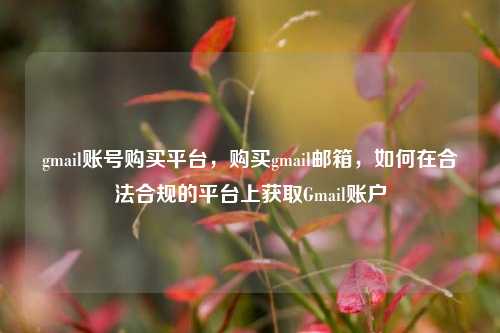 gmail账号购买平台，购买gmail邮箱，如何在合法合规的平台上获取Gmail账户