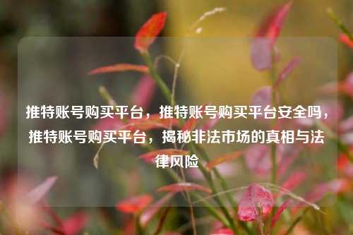 推特账号购买平台，推特账号购买平台安全吗，推特账号购买平台，揭秘非法市场的真相与法律风险