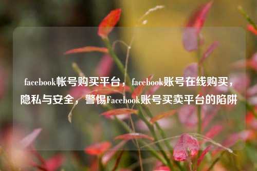 facebook帐号购买平台，facebook账号在线购买，隐私与安全，警惕Facebook账号买卖平台的陷阱