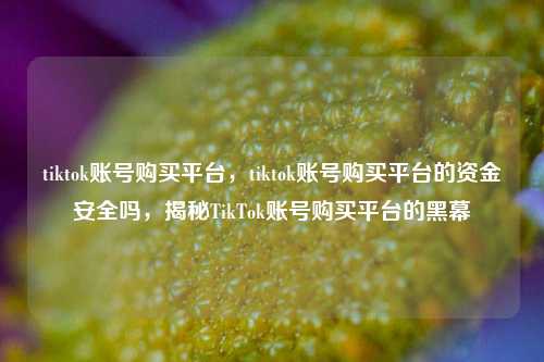 tiktok账号购买平台，tiktok账号购买平台的资金安全吗，揭秘TikTok账号购买平台的黑幕