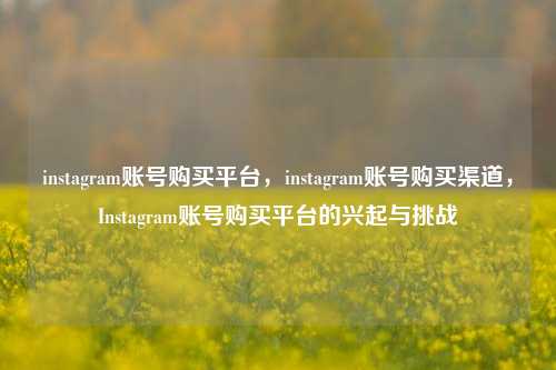 instagram账号购买平台，instagram账号购买渠道，Instagram账号购买平台的兴起与挑战