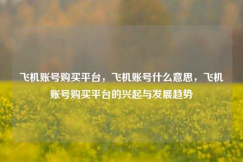 飞机账号购买平台，飞机账号什么意思，飞机账号购买平台的兴起与发展趋势