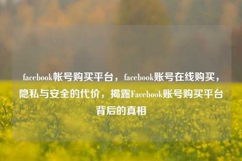 facebook帐号购买平台	，facebook账号在线购买，隐私与安全的代价，揭露Facebook账号购买平台背后的真相  第1张