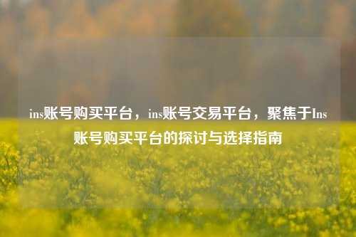 ins账号购买平台，ins账号交易平台，聚焦于Ins账号购买平台的探讨与选择指南