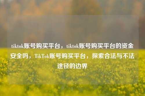 tiktok账号购买平台，tiktok账号购买平台的资金安全吗，TikTok账号购买平台，探索合法与不法途径的边界