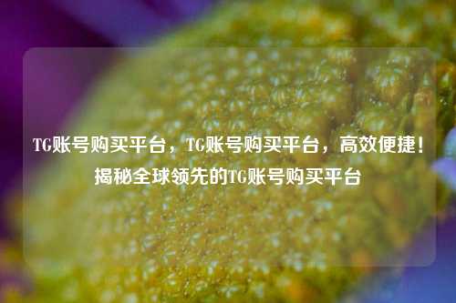 TG账号购买平台，TG账号购买平台，高效便捷！揭秘全球领先的TG账号购买平台