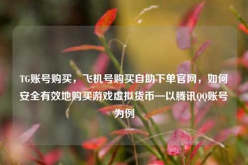 TG账号购买，飞机号购买自助下单官网，如何安全有效地购买游戏虚拟货币—以腾讯QQ账号为例