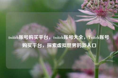 twitch账号购买平台，twitch账号大全，Twitch账号购买平台，探索虚拟世界的新入口