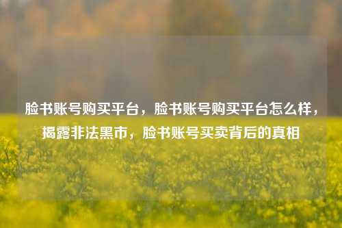 脸书账号购买平台，脸书账号购买平台怎么样，揭露非法黑市，脸书账号买卖背后的真相