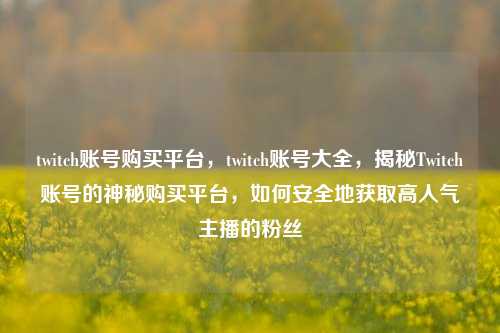 twitch账号购买平台，twitch账号大全，揭秘Twitch账号的神秘购买平台，如何安全地获取高人气主播的粉丝