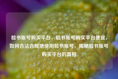 脸书账号购买平台，脸书账号购买平台便宜，如何合法合规地使用脸书账号，揭秘脸书账号购买平台的真相