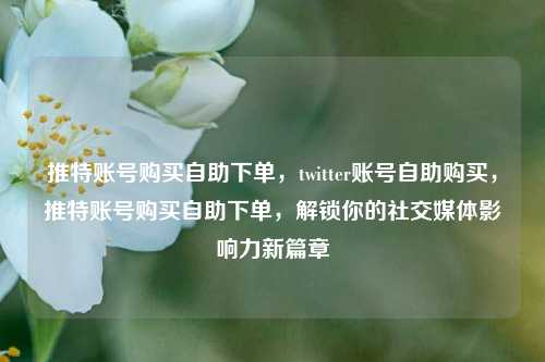 推特账号购买自助下单，twitter账号自助购买，推特账号购买自助下单，解锁你的社交媒体影响力新篇章
