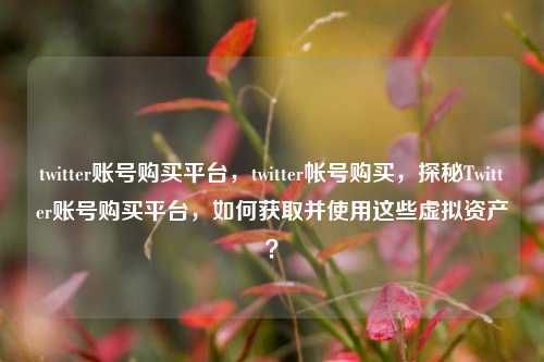 twitter账号购买平台，twitter帐号购买	，探秘Twitter账号购买平台，如何获取并使用这些虚拟资产？  第1张