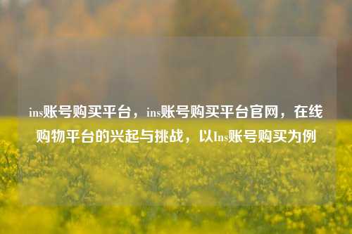 ins账号购买平台，ins账号购买平台官网，在线购物平台的兴起与挑战，以Ins账号购买为例