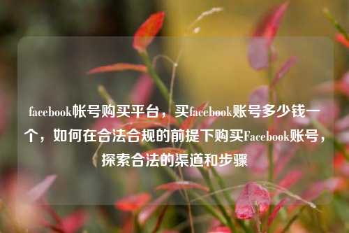 facebook帐号购买平台，买facebook账号多少钱一个，如何在合法合规的前提下购买Facebook账号，探索合法的渠道和步骤