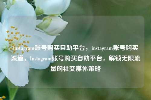 instagram账号购买自助平台，instagram账号购买渠道，Instagram账号购买自助平台，解锁无限流量的社交媒体策略