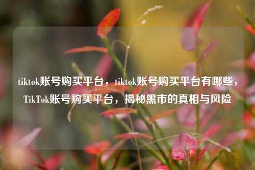 tiktok账号购买平台，tiktok账号购买平台有哪些，TikTok账号购买平台，揭秘黑市的真相与风险