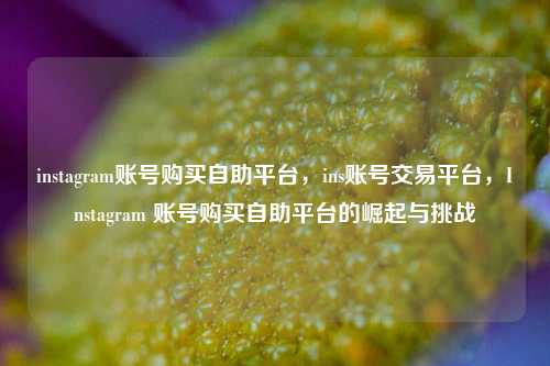 instagram账号购买自助平台，ins账号交易平台，Instagram 账号购买自助平台的崛起与挑战