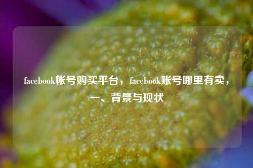 facebook帐号购买平台，facebook账号哪里有卖，一、背景与现状