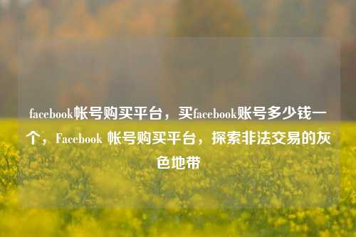 facebook帐号购买平台，买facebook账号多少钱一个，Facebook 帐号购买平台，探索非法交易的灰色地带