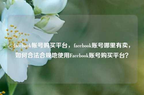 facebook帐号购买平台，facebook账号哪里有卖，如何合法合规地使用Facebook账号购买平台？