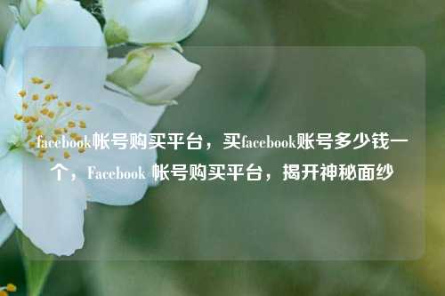 facebook帐号购买平台，买facebook账号多少钱一个，Facebook 帐号购买平台，揭开神秘面纱