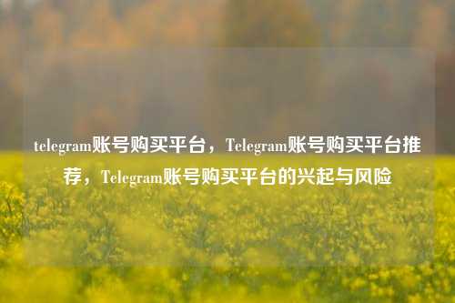 telegram账号购买平台，Telegram账号购买平台推荐，Telegram账号购买平台的兴起与风险