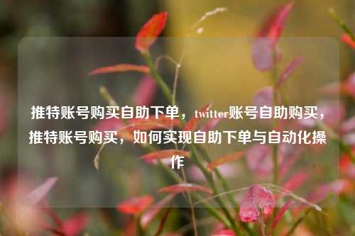 推特账号购买自助下单，twitter账号自助购买，推特账号购买，如何实现自助下单与自动化操作