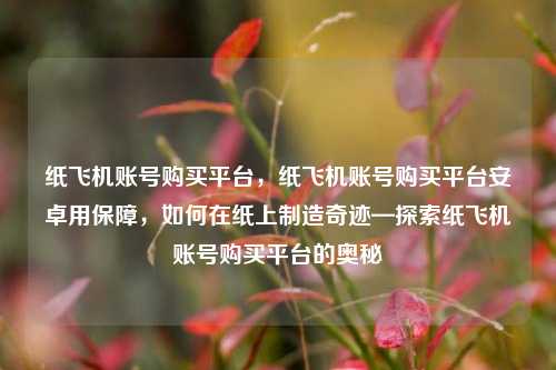 纸飞机账号购买平台，纸飞机账号购买平台安卓用保障，如何在纸上制造奇迹—探索纸飞机账号购买平台的奥秘