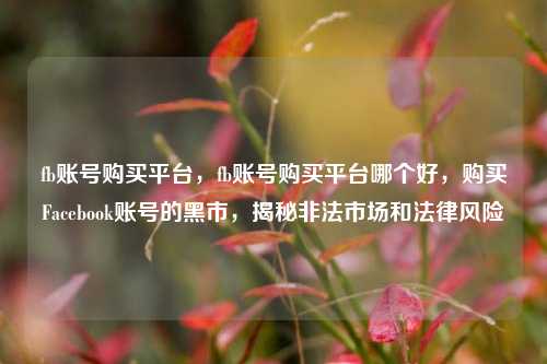 fb账号购买平台，fb账号购买平台哪个好，购买Facebook账号的黑市，揭秘非法市场和法律风险