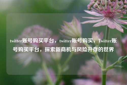 twitter账号购买平台，twitter帐号购买，Twitter账号购买平台，探索新商机与风险并存的世界