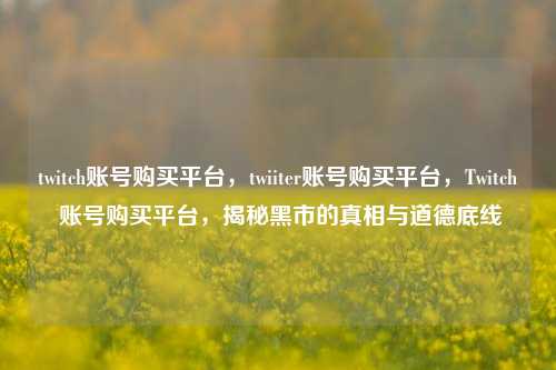 twitch账号购买平台，twiiter账号购买平台，Twitch 账号购买平台，揭秘黑市的真相与道德底线