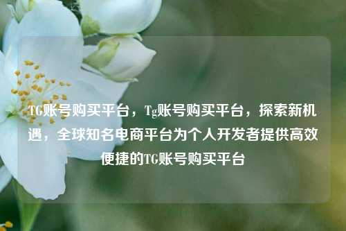 TG账号购买平台，Tg账号购买平台，探索新机遇，全球知名电商平台为个人开发者提供高效便捷的TG账号购买平台