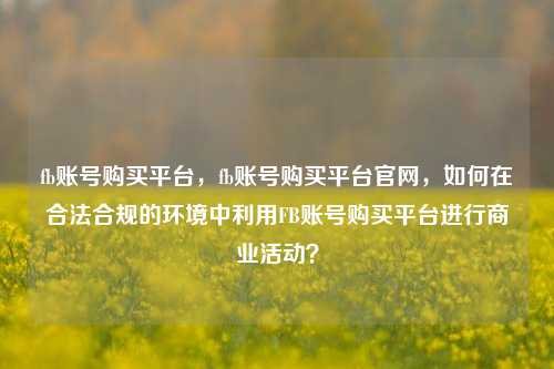 fb账号购买平台，fb账号购买平台官网，如何在合法合规的环境中利用FB账号购买平台进行商业活动？
