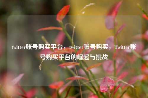 twitter账号购买平台，twitter帐号购买，Twitter账号购买平台的崛起与挑战