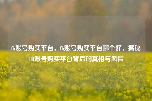 fb账号购买平台，fb账号购买平台哪个好，揭秘FB账号购买平台背后的真相与风险