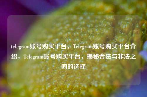 telegram账号购买平台，Telegram账号购买平台介绍，Telegram账号购买平台，揭秘合法与非法之间的选择
