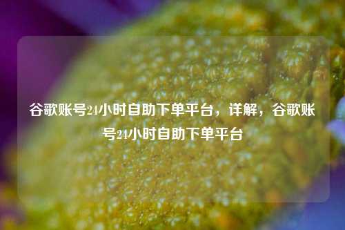 谷歌账号24小时自助下单平台，详解，谷歌账号24小时自助下单平台  第1张