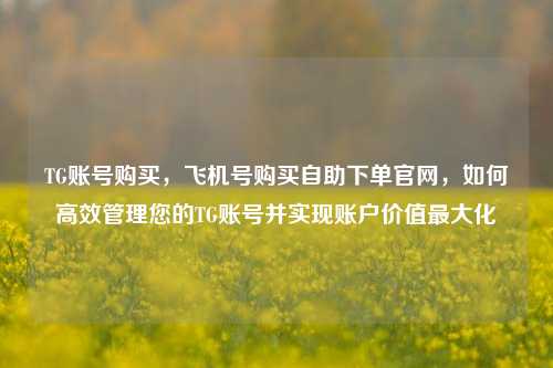 TG账号购买，飞机号购买自助下单官网，如何高效管理您的TG账号并实现账户价值最大化