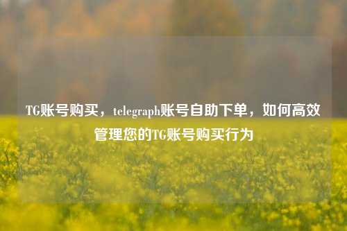 TG账号购买，telegraph账号自助下单，如何高效管理您的TG账号购买行为