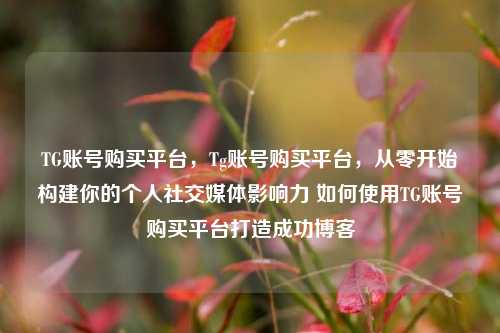 TG账号购买平台，Tg账号购买平台，从零开始构建你的个人社交媒体影响力 如何使用TG账号购买平台打造成功博客