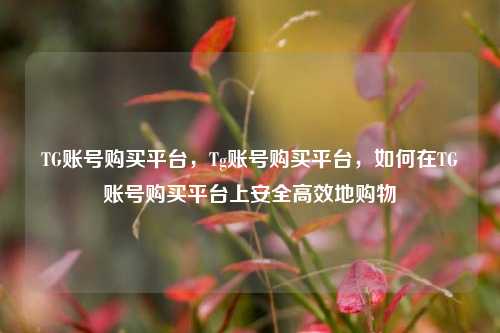 TG账号购买平台，Tg账号购买平台，如何在TG账号购买平台上安全高效地购物