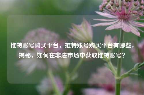 推特账号购买平台，推特账号购买平台有哪些，揭秘，如何在非法市场中获取推特账号？