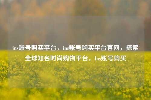 ins账号购买平台，ins账号购买平台官网，探索全球知名时尚购物平台，Ins账号购买