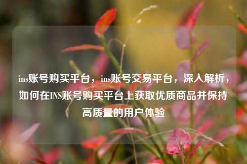 ins账号购买平台，ins账号交易平台，深入解析，如何在INS账号购买平台上获取优质商品并保持高质量的用户体验