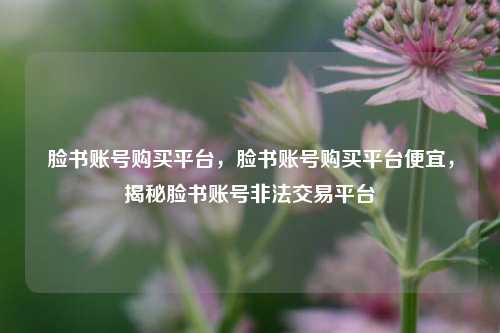 脸书账号购买平台，脸书账号购买平台便宜，揭秘脸书账号非法交易平台