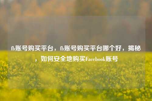 fb账号购买平台，fb账号购买平台哪个好，揭秘，如何安全地购买Facebook账号