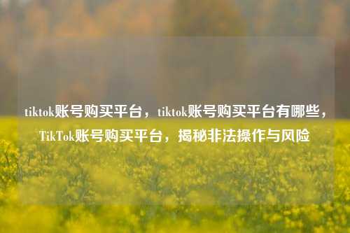 tiktok账号购买平台，tiktok账号购买平台有哪些，TikTok账号购买平台，揭秘非法操作与风险  第1张