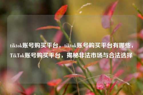tiktok账号购买平台，tiktok账号购买平台有哪些，TikTok账号购买平台，揭秘非法市场与合法选择