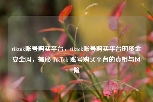 tiktok账号购买平台，tiktok账号购买平台的资金安全吗，揭秘 TikTok 账号购买平台的真相与风险